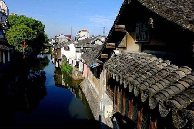 动物帮帮忙保卫家园